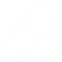 صحة العظام