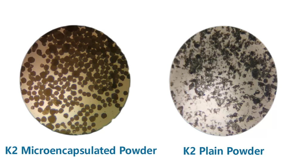 richen new rivik2 micro encapsulated powder vs k2 plain powder